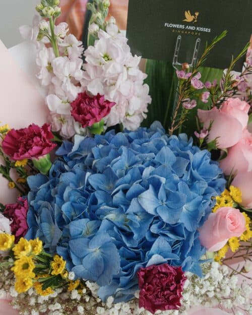 Elegant elegant zoom 1