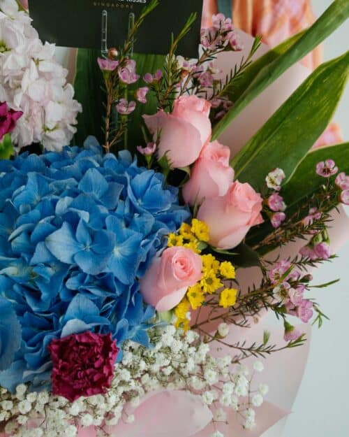 Elegant elegant zoom 2