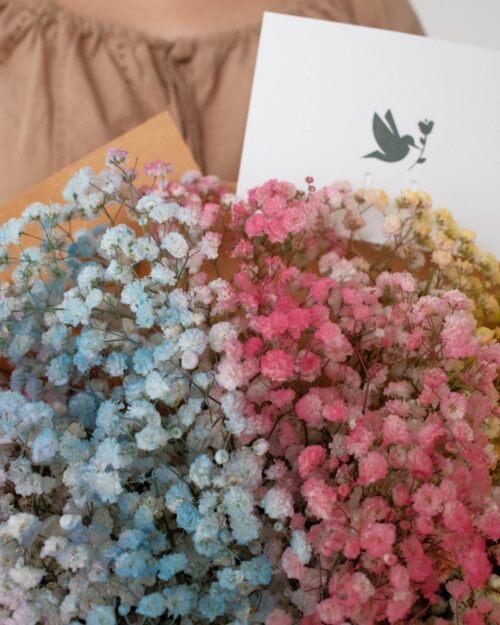 rainbow baby breath zoom 2