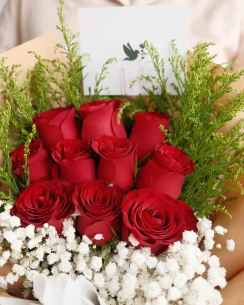 Perfect 10 perfect 10 zoom