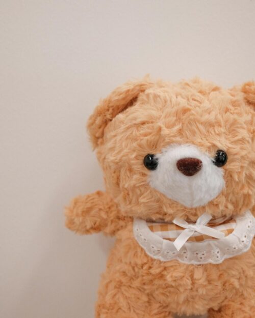 Heidi bear ne 2025 details