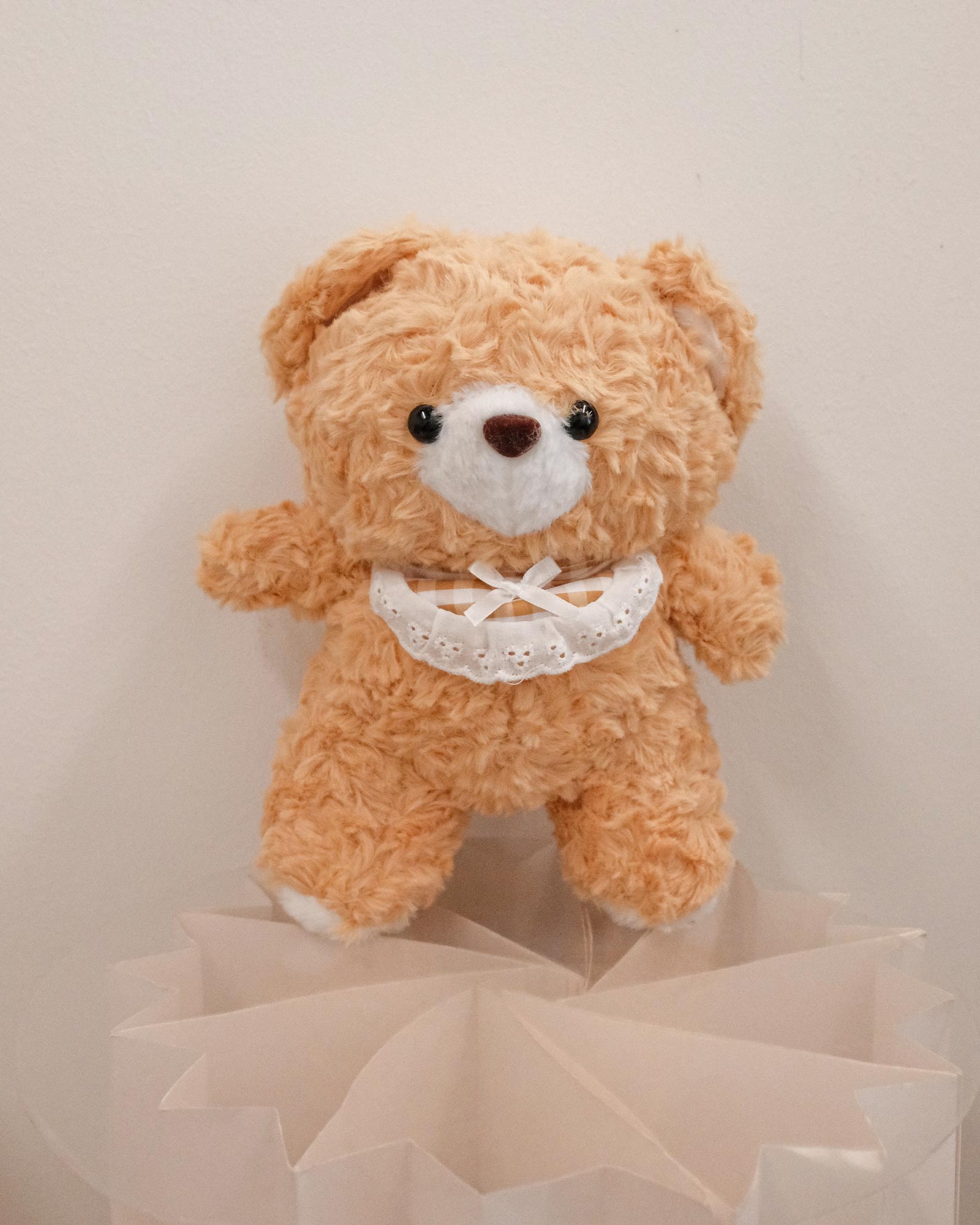 Heidi Heidi bear new 2025