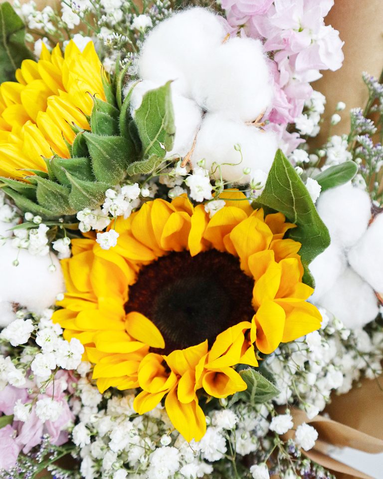 Single Stalk Rose Same Day Delivery Singapore Flowers and Kisses