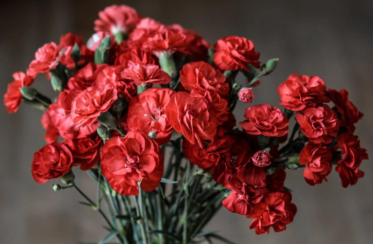 The Complete Guide to Buying Flowers Flowers and Kisses