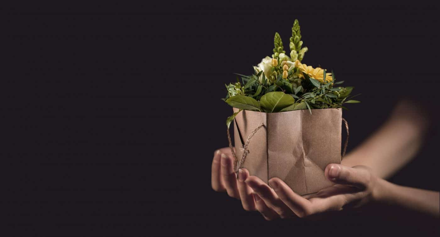 Offline guide to giving flowers