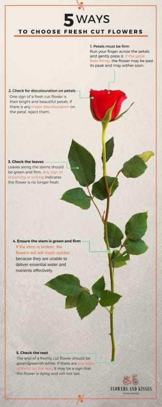 5 Ways To Choose Fresh Flowers how to choose fresh cut flowers infographic