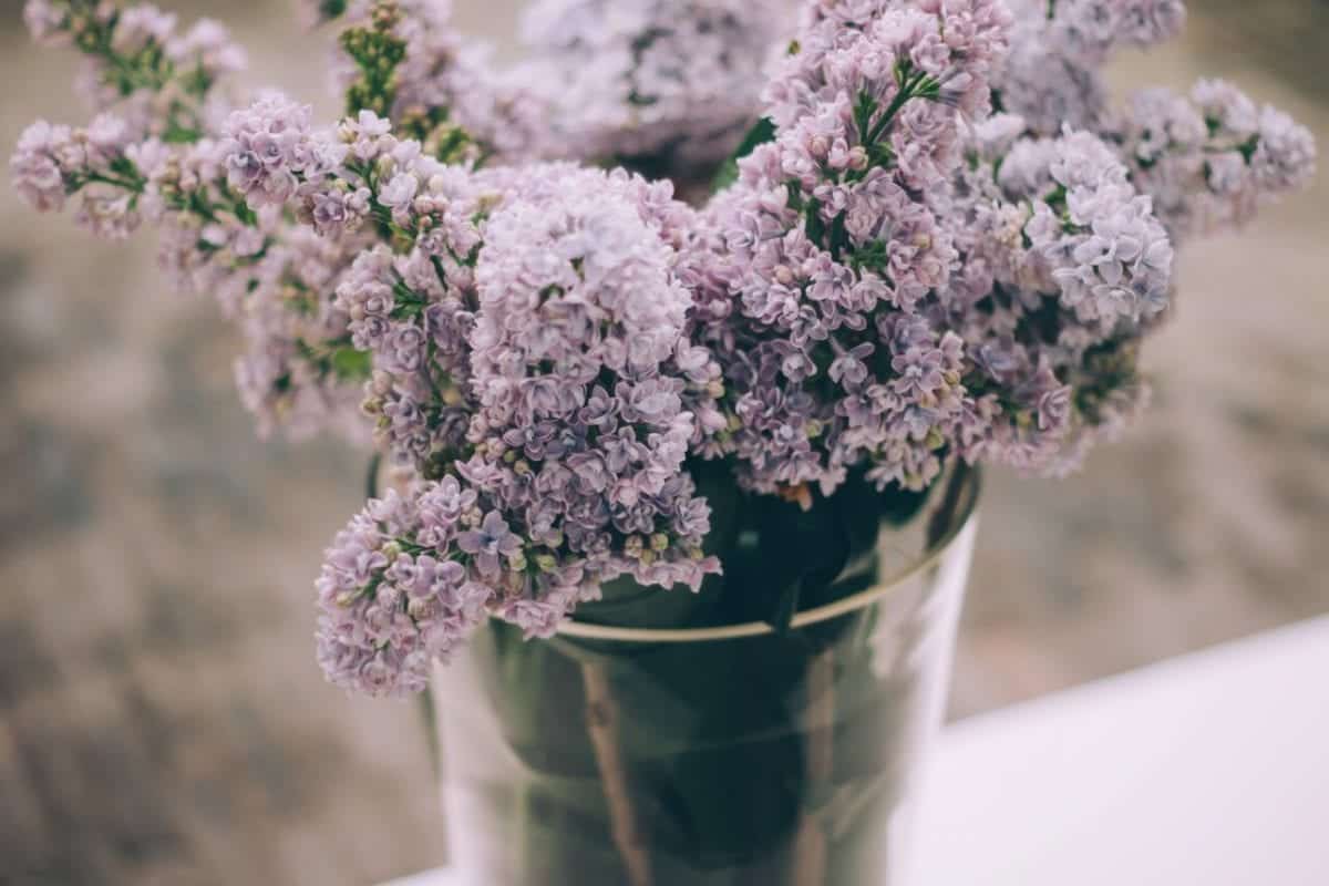 6 Easy Ways To Dry Flowers water vase