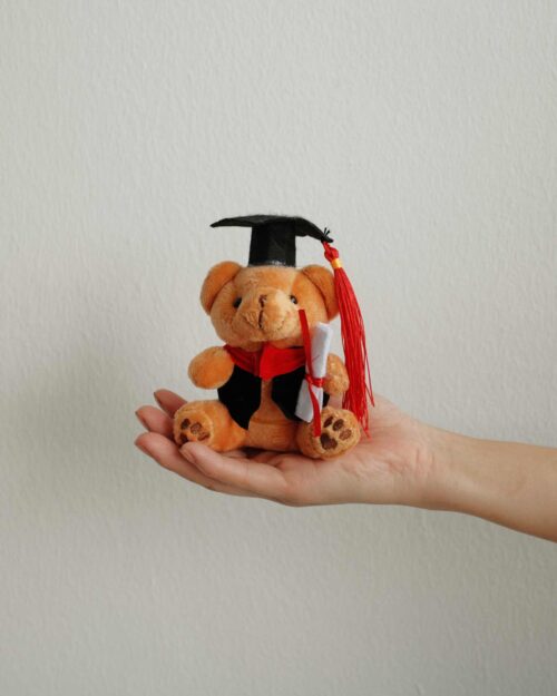 Brown grad bear on hand