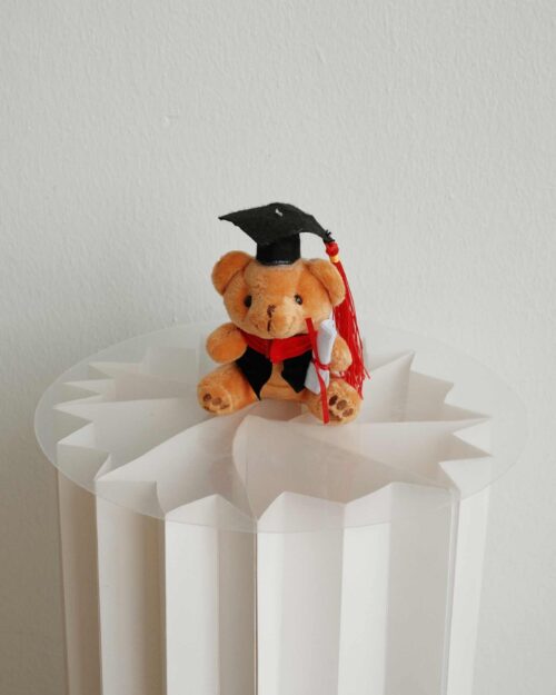 Small Graduation Bear Small grad bear brown