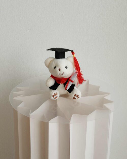 Small Graduation Bear Small grad bear white