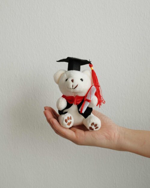 white grad bear on hand
