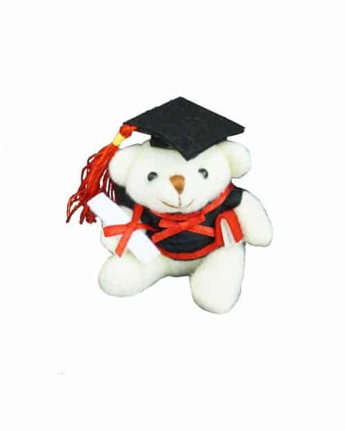 white-graduation-bear
