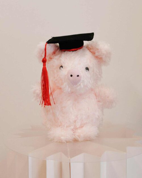 Graduation Piggy
