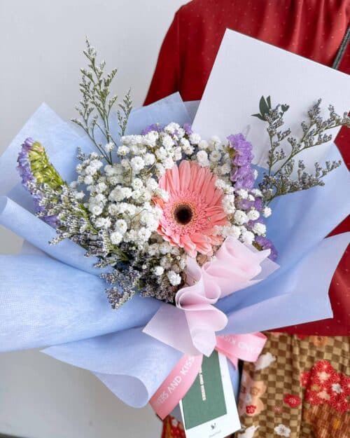 Single Stalk Daisy single stalk daisy zoom