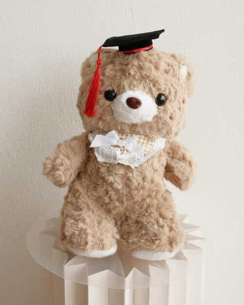 Valentines Angela new bear with grad hat