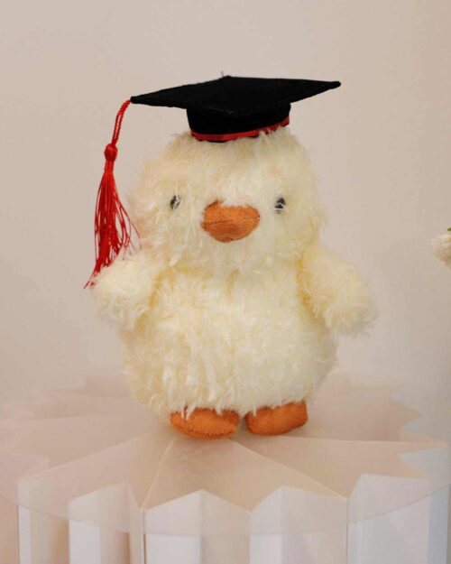 Chicky Graduation