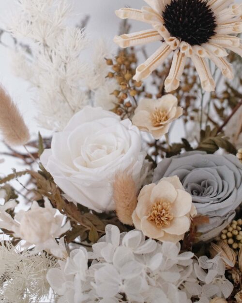 capri zoom white rose