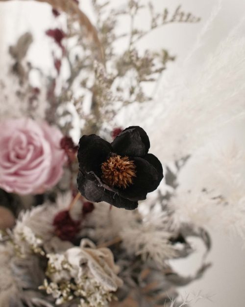Celia (Preserved & Dried Flower) celia Dried 4