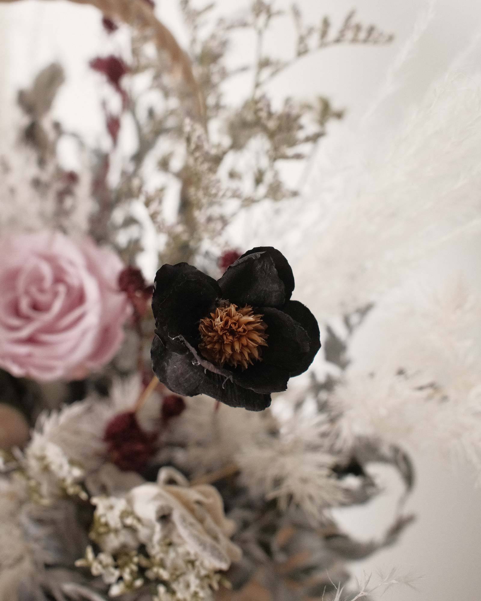 Celia (Preserved & Dried Flower) celia Dried 4