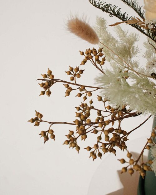Midori dried