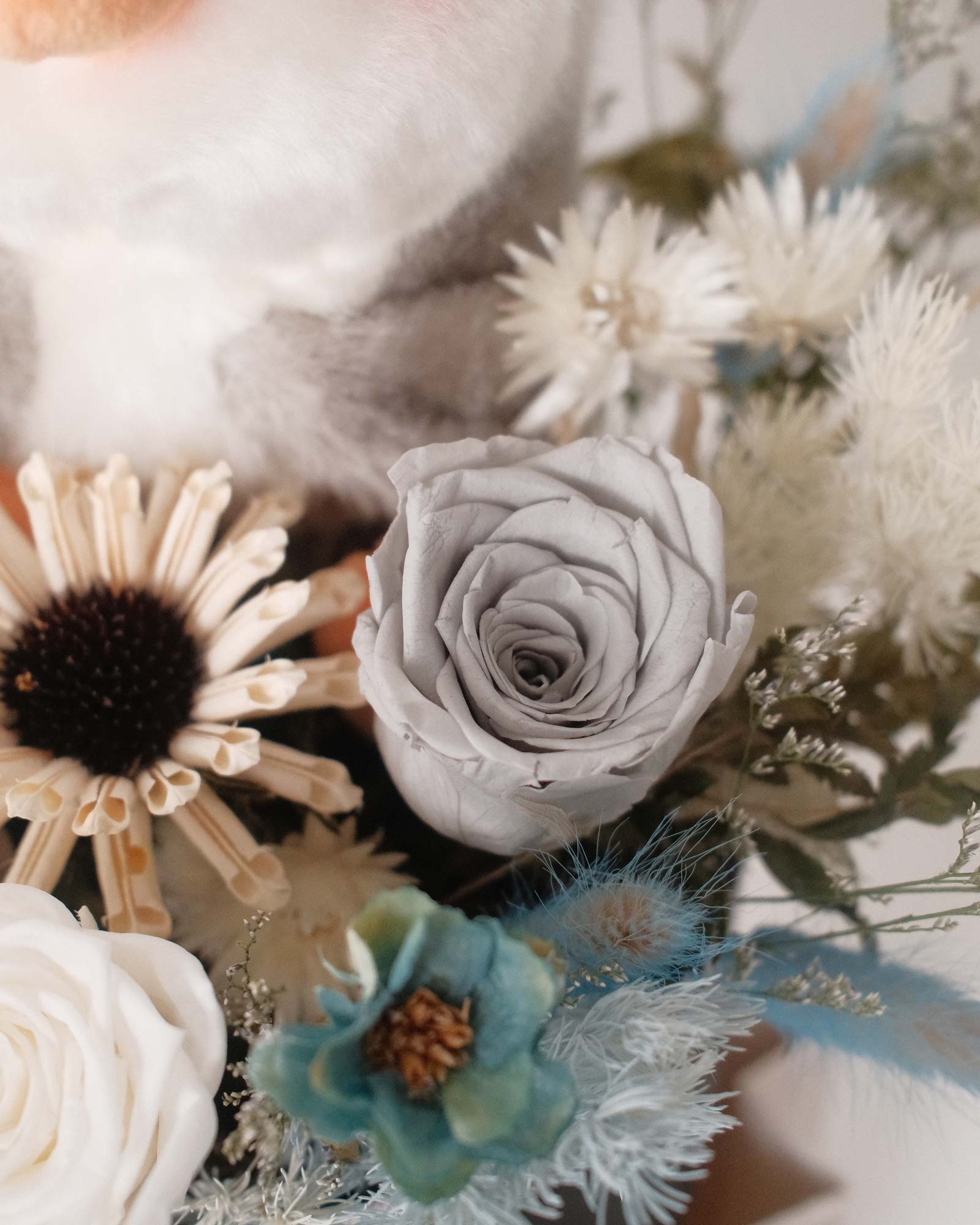 Snowball (Dried & Preserved Rose) Snowball grey