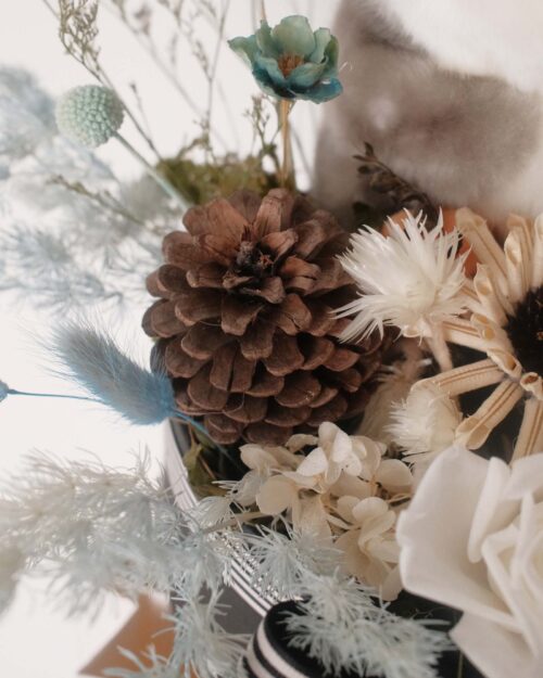 Snowball (Dried & Preserved Rose) Snowball pine cone