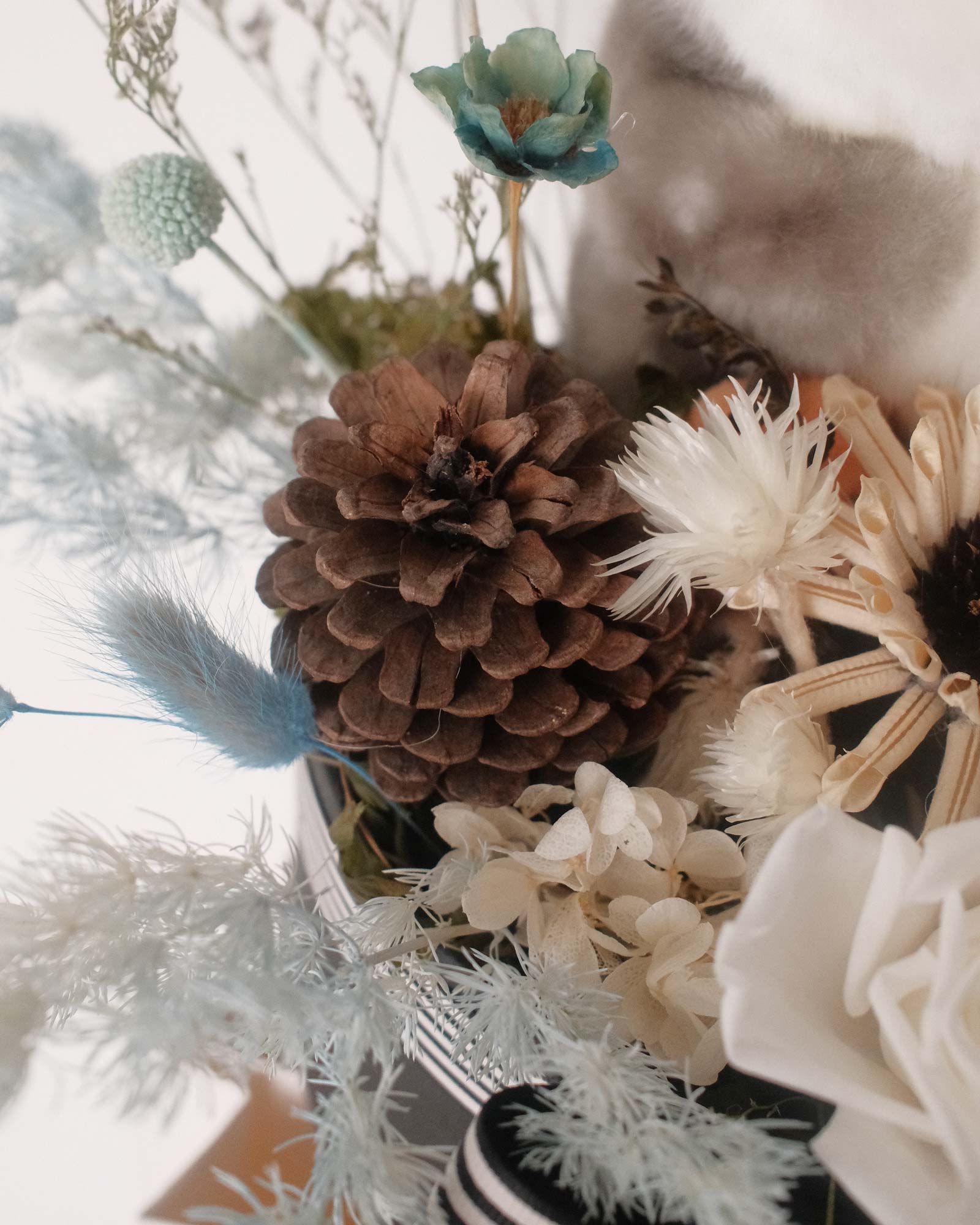 Snowball (Dried & Preserved Rose) Snowball pine cone