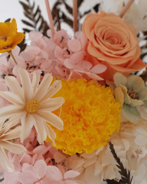 Zoom yellow carnation lyrical