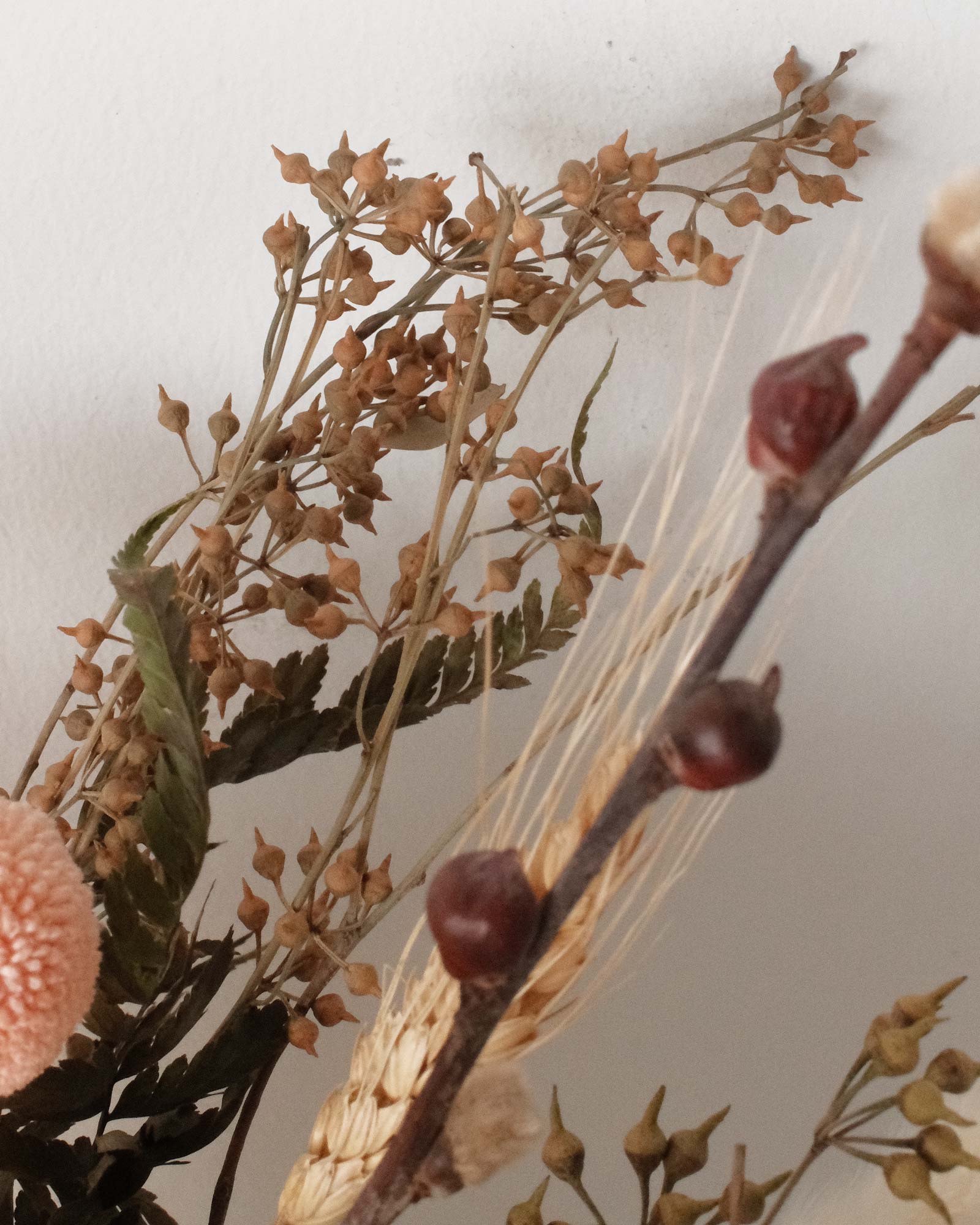 Honeybee (Dried & Preserved flowers) Honeybee24083