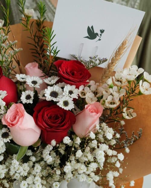 Enchant enchant zoom