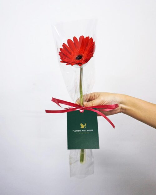 Alternative view of Flower Delight
