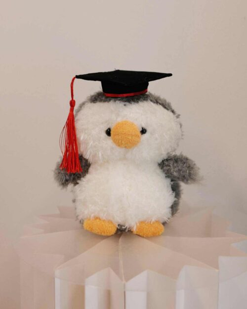 Graduation Puffy