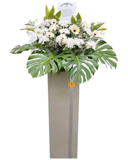 Peace condolence png