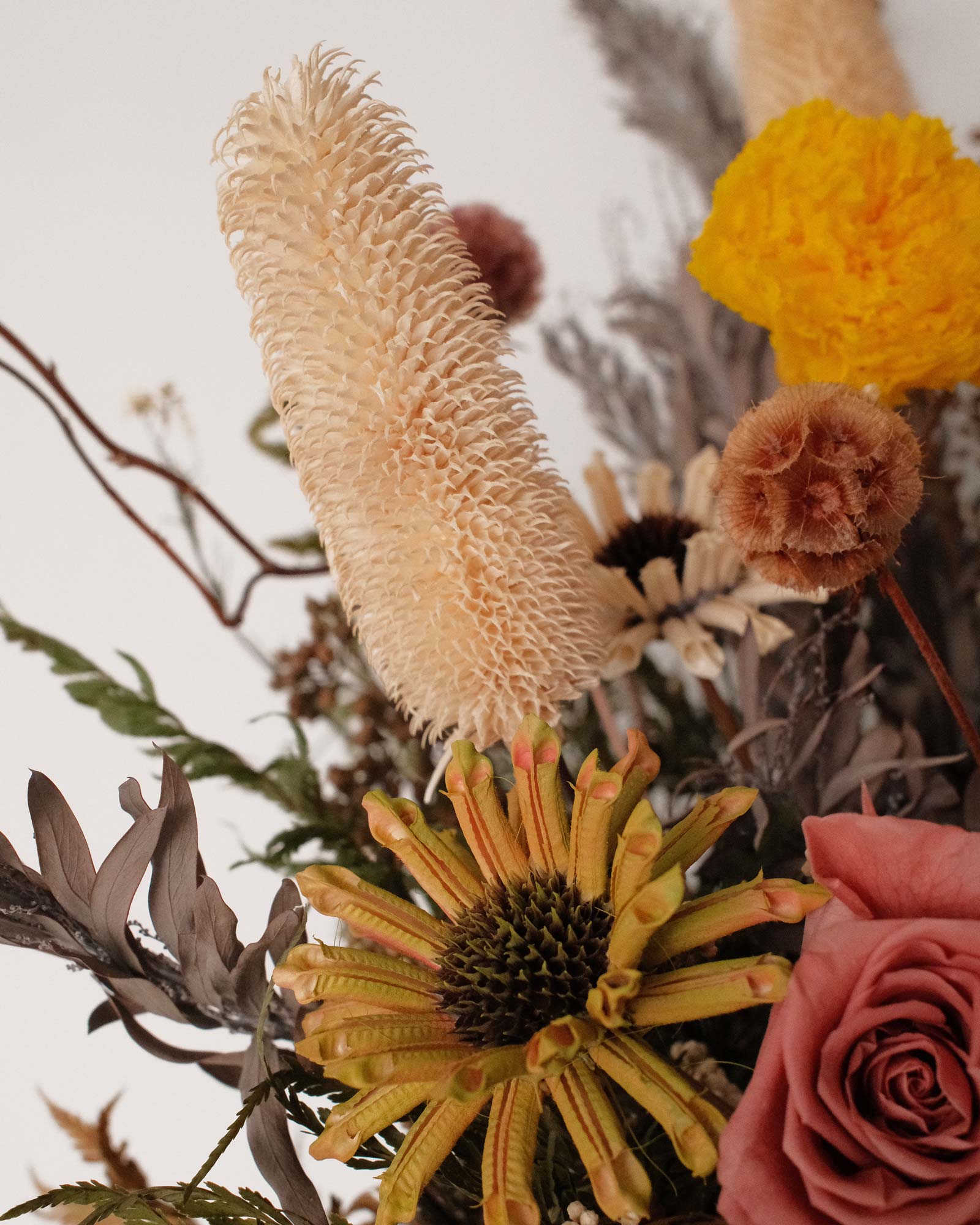 Jungle (Dried & Preserved flowers) Jungle 12