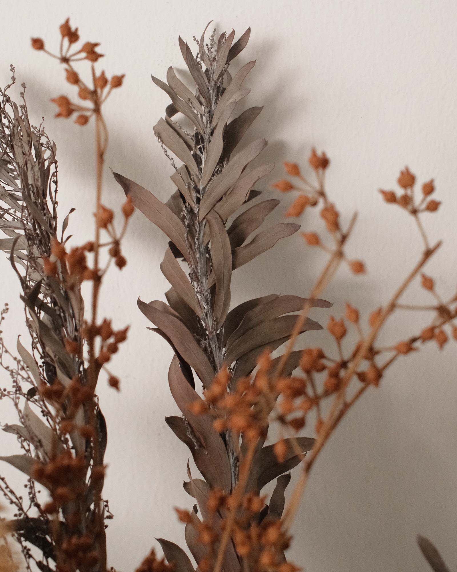 Jungle (Dried & Preserved flowers) Jungle 22