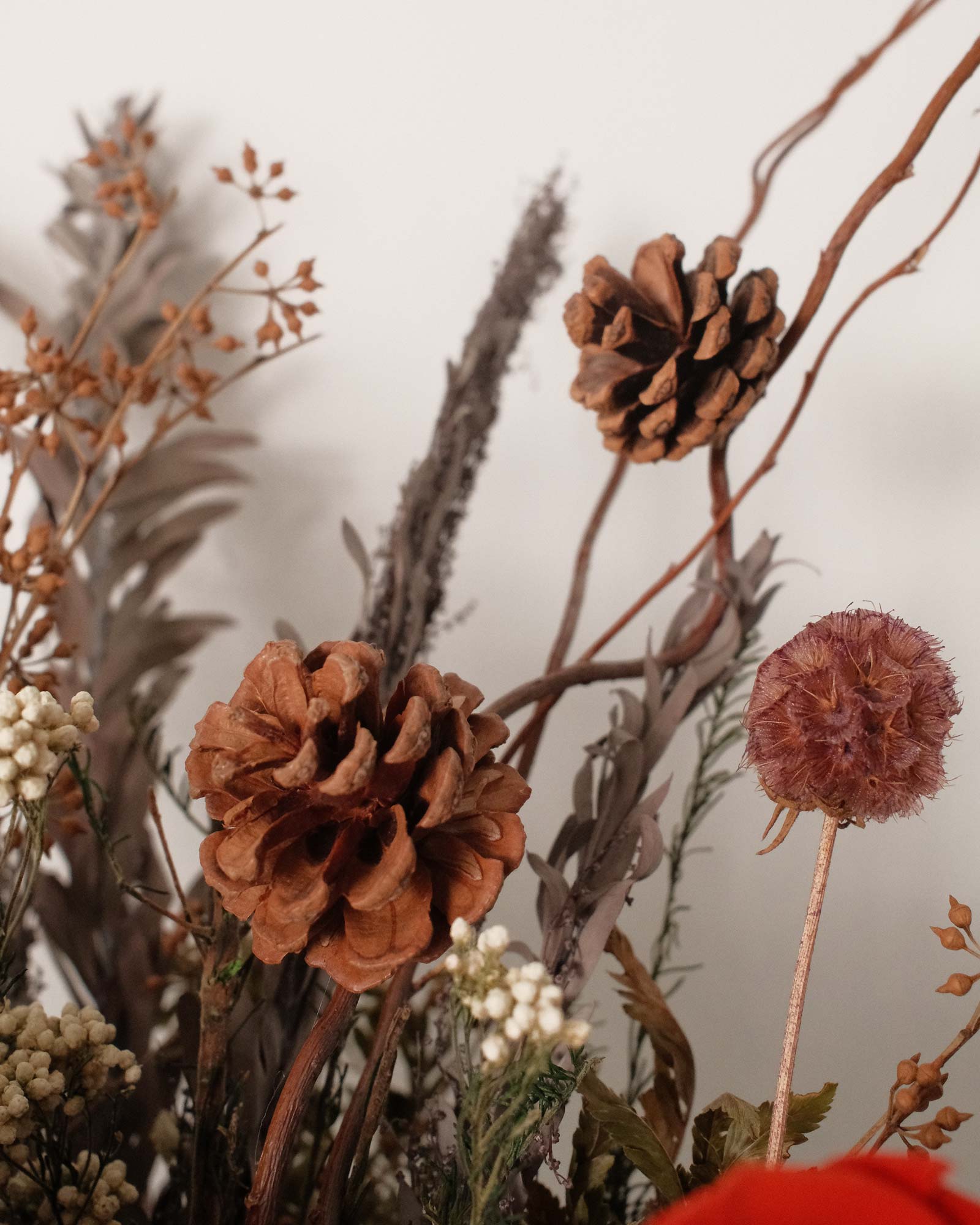 Jungle (Dried & Preserved flowers) Jungle 222