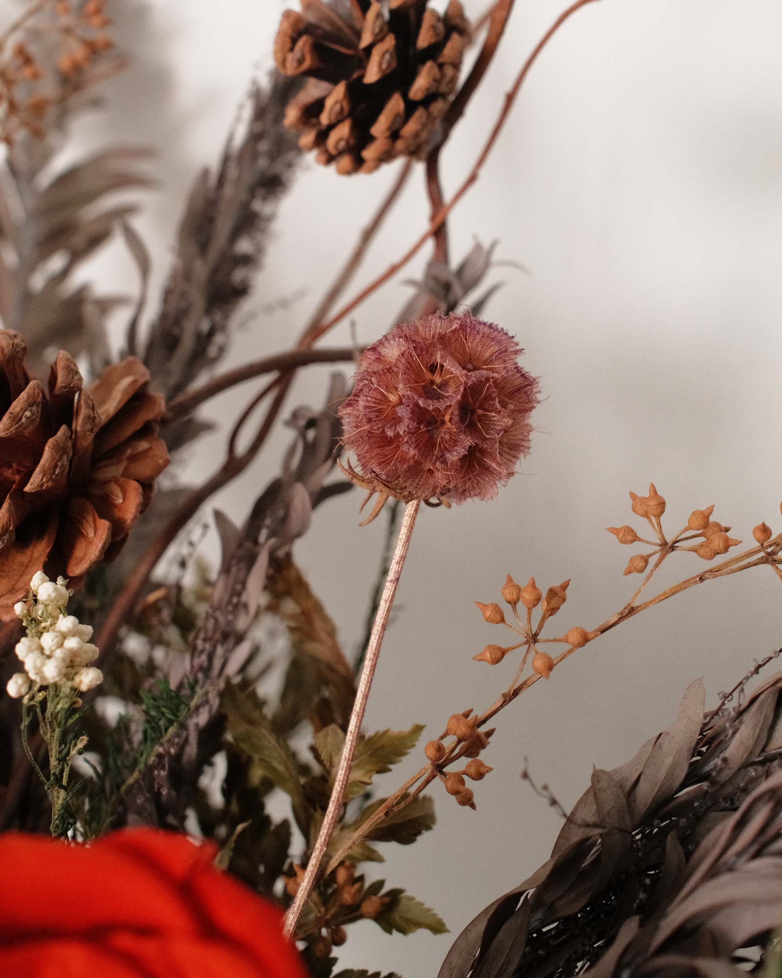 Jungle (Dried & Preserved flowers) Jungle2