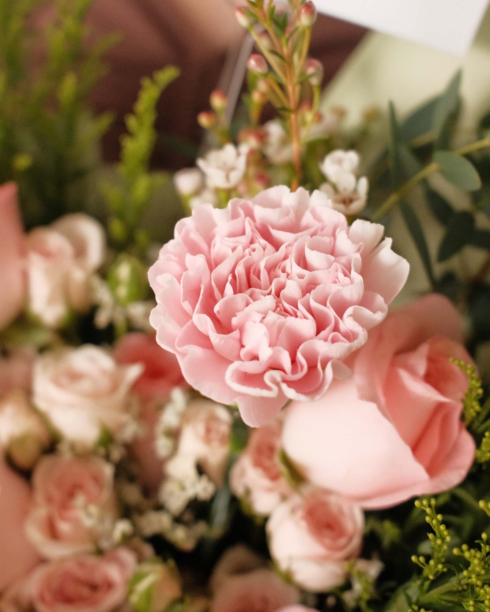 Brielle Pink carnation zoom brielle