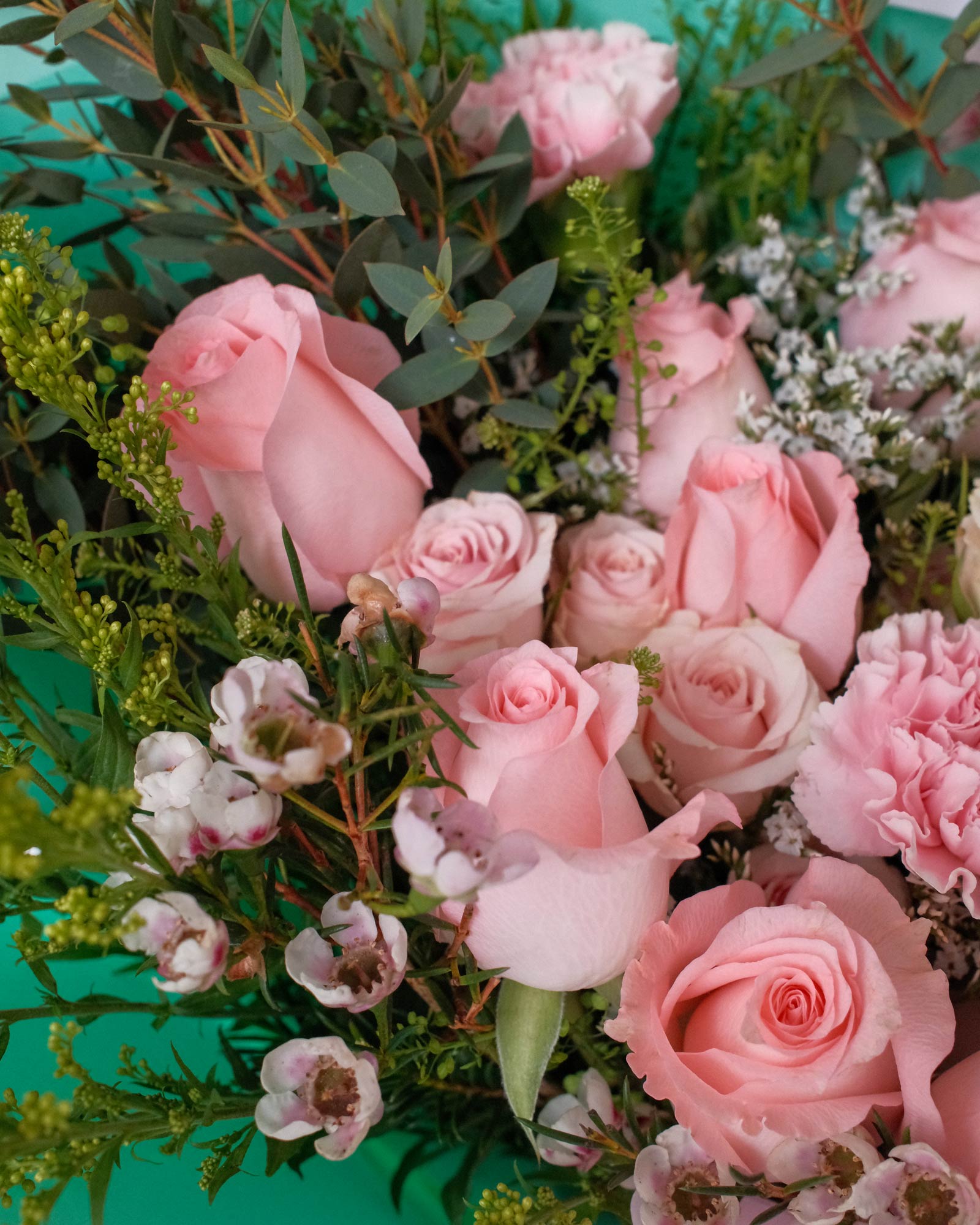 Brielle brielle zoom 1