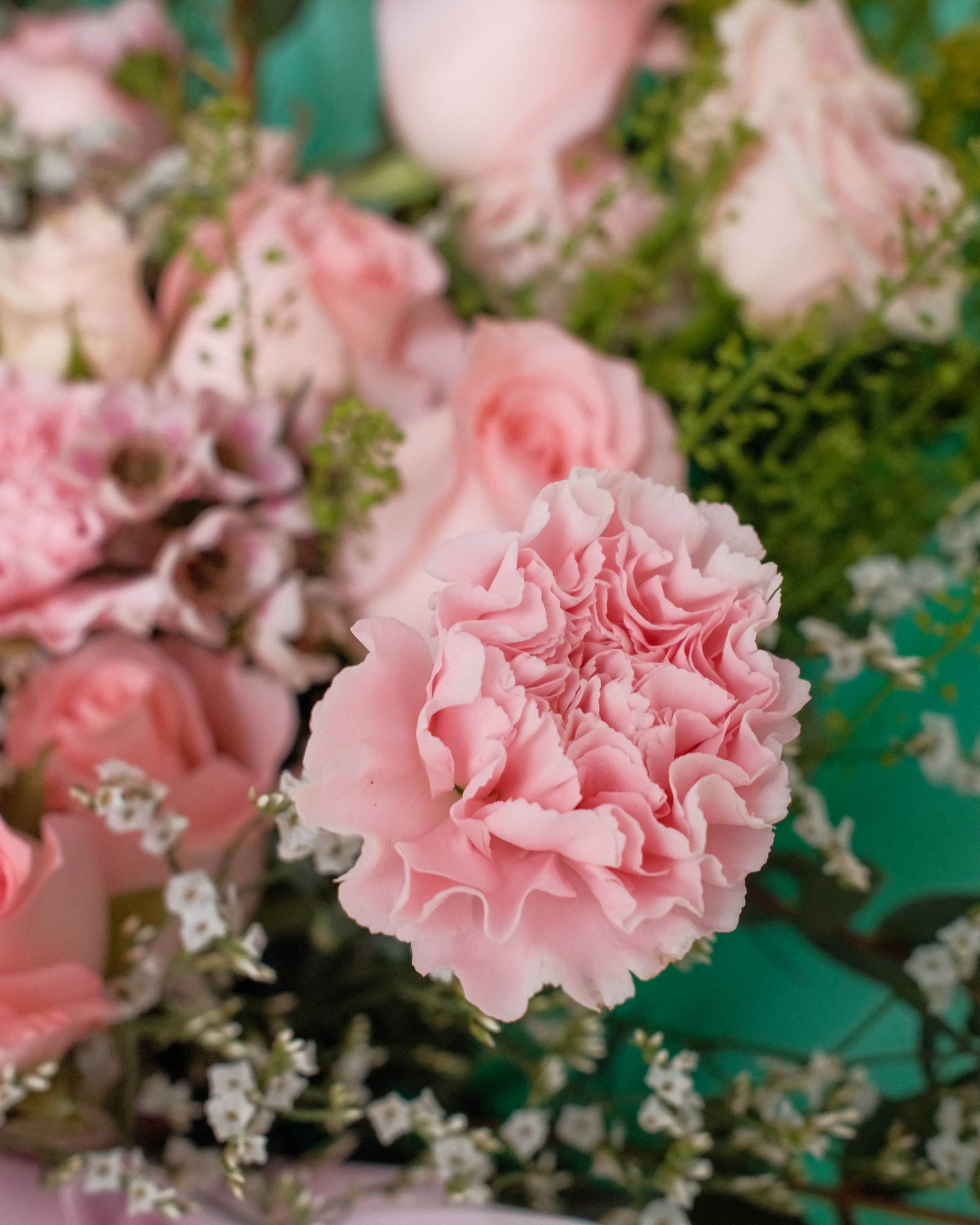 Brielle brielle zoom 2