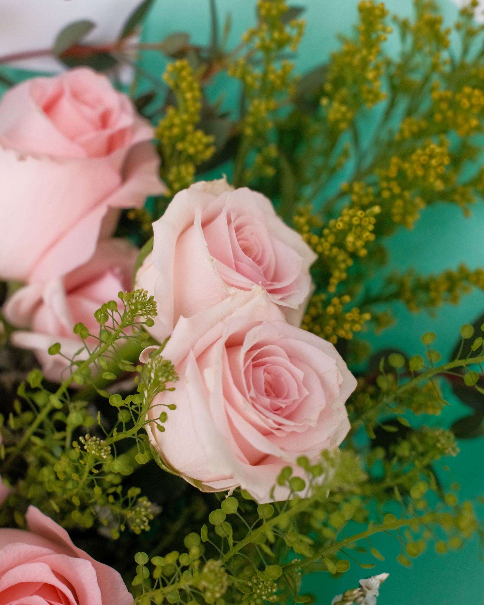 Brielle brielle zoom 3