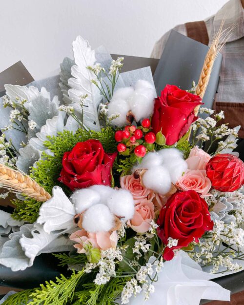 Alternative view of Rudolph