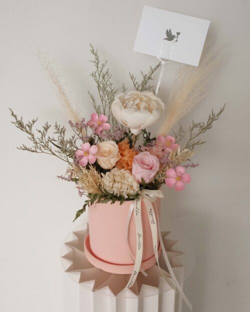 Charlotte pastel front