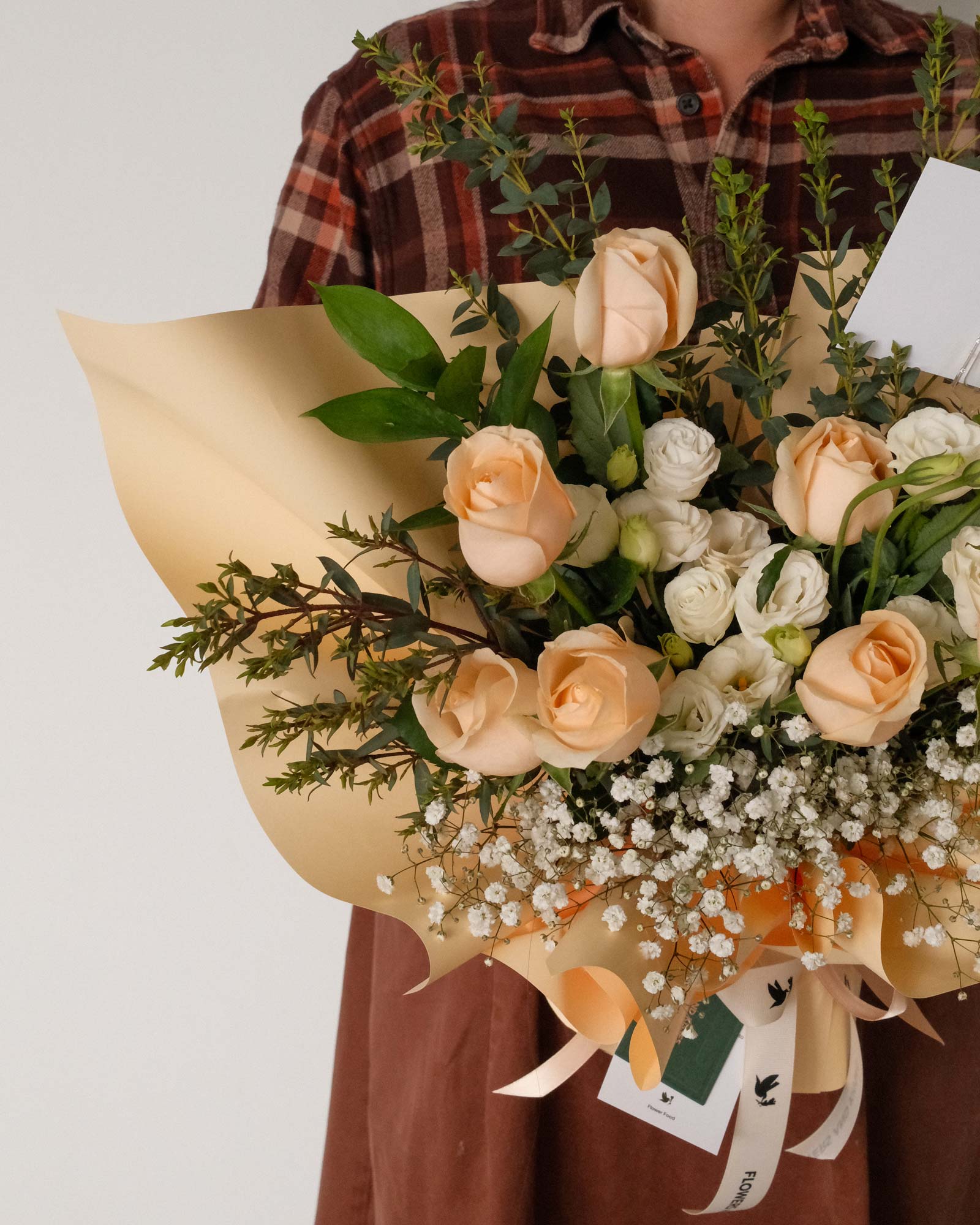 Adelaide adelaide zoom 2