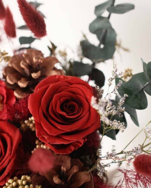 Ezmeralda (Preserved & Dried Flower) red rose