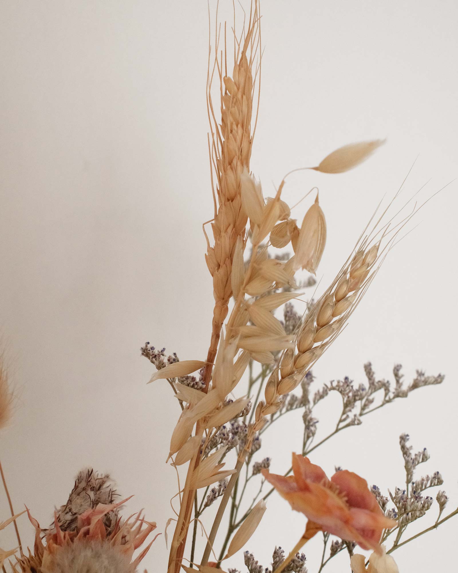 Kohi (Dried & Preserved flowers) Kohi mini 2