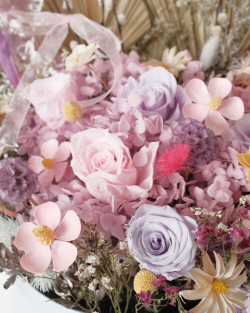 Moonbeam (Dried & Preserved flowers) pink zoom