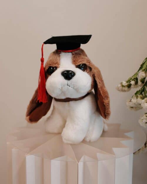 Richard Graduation Richard