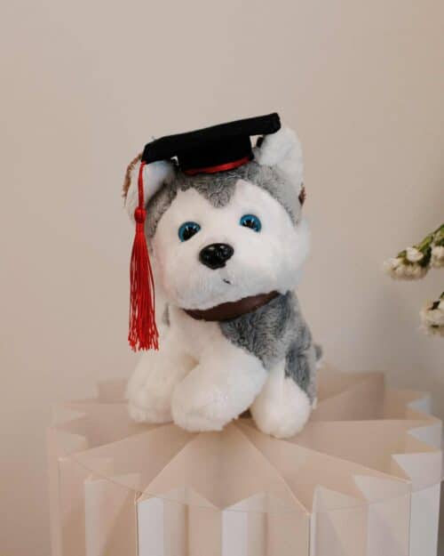 Graduation Spooky