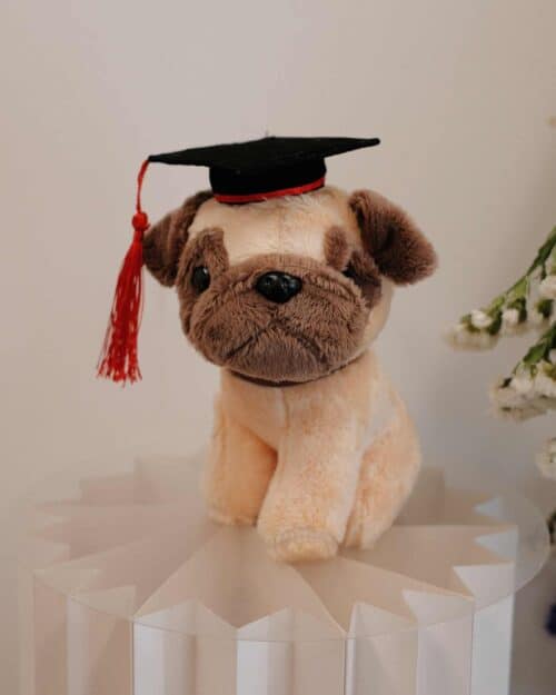 Granduation Puggacino